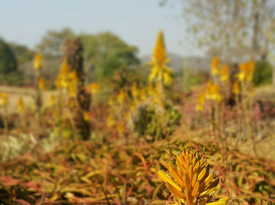Ewanrigg Botanical Gardens景点图片