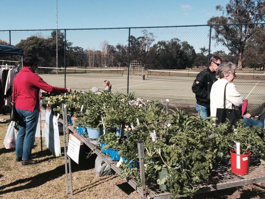 Denman Farmers Market & Artisans Market-Denman必去景点