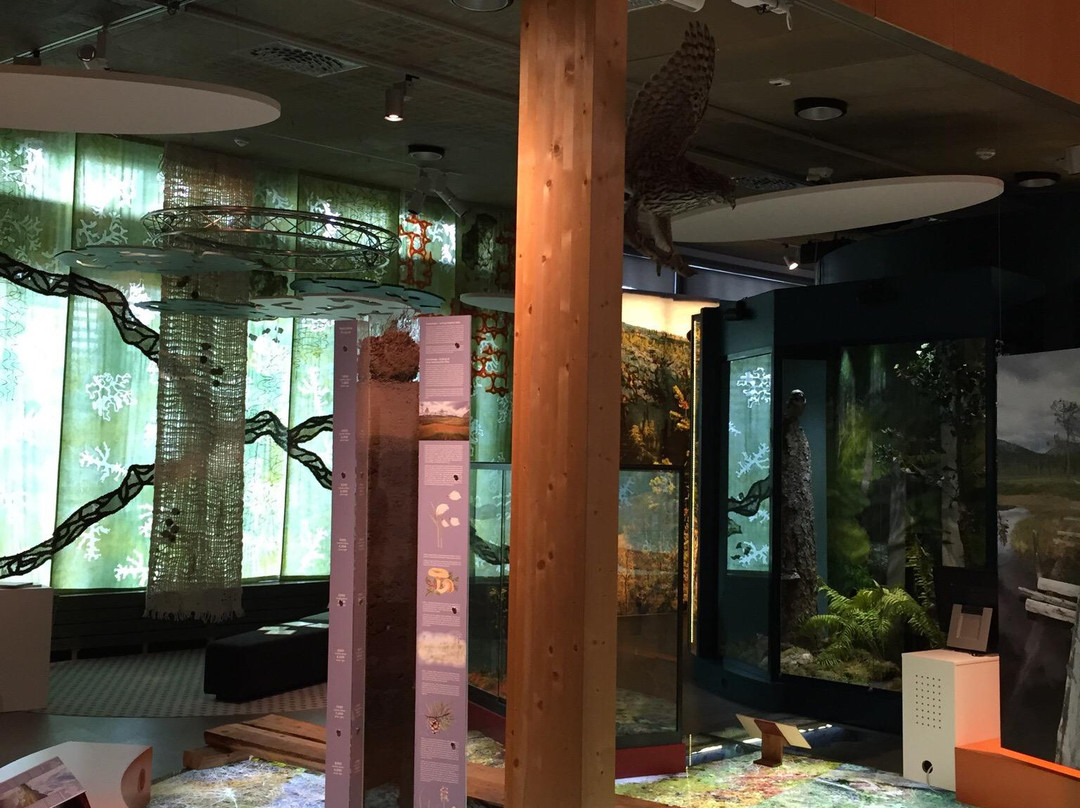 Pyha-Luosto Visitor and Culture Centre Naava-Pyhatunturi必去景点