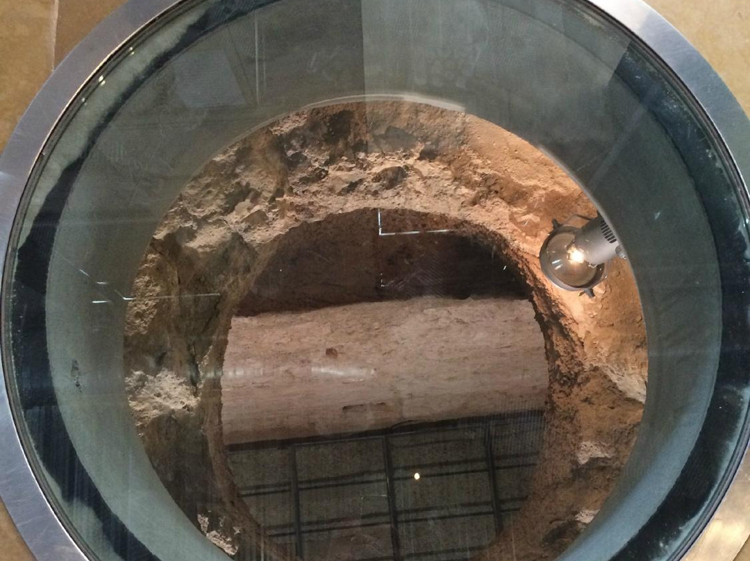 Museo Arqueologico los Baños-Alhama de Murcia必去景点