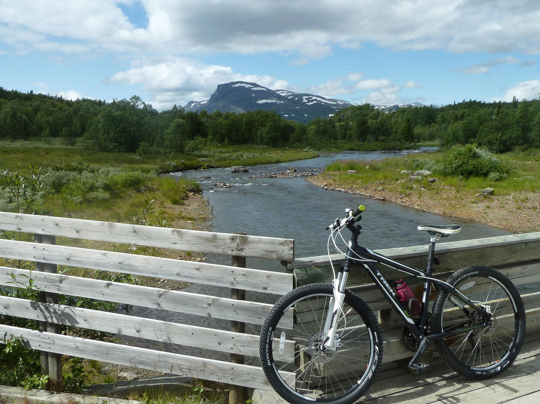 Round Trip of Tisleifjorden Golsfjellet-古尔必去景点