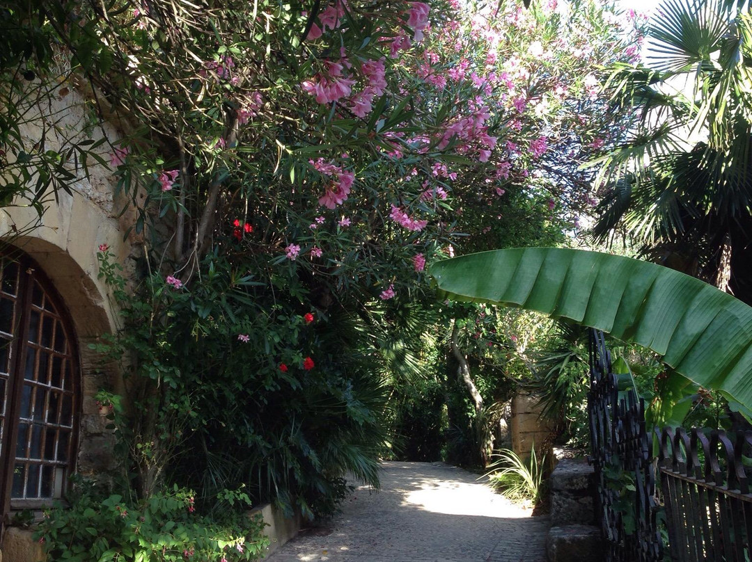Jardin Exotique景点图片