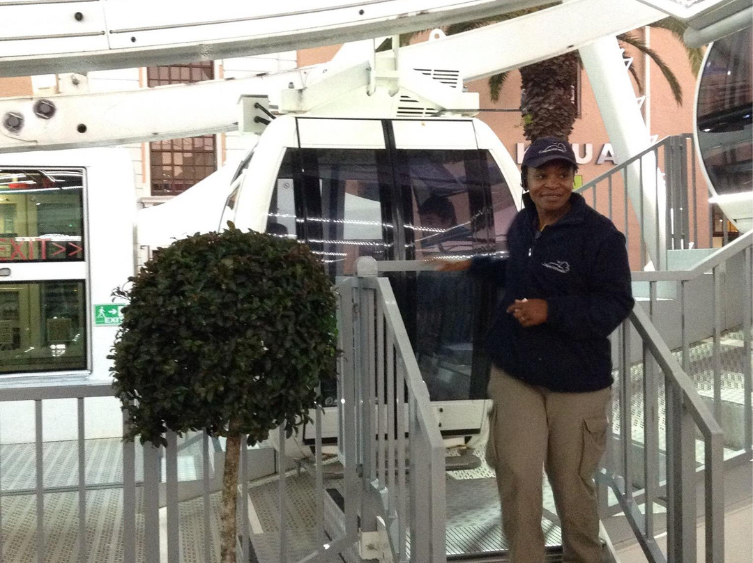 The Cape Wheel-开普敦中心区必去景点