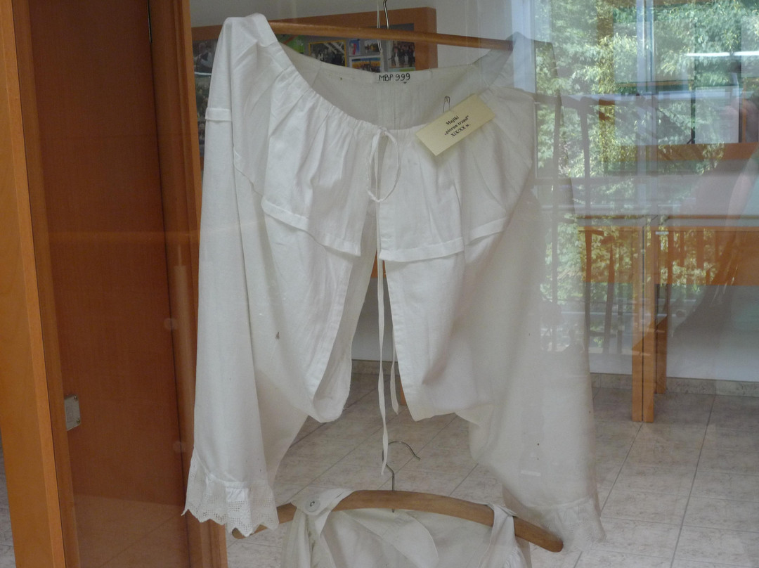 Muzeum Bambrow Poznanskich-波兹南必去景点