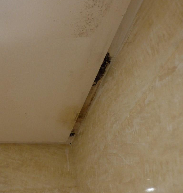 阿尔卡迪亚国际酒店主图