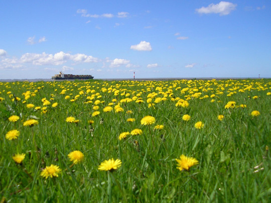 Wremen旅游攻略图片
