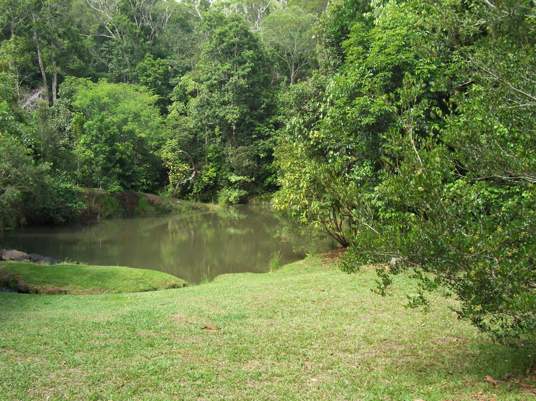 The Peterson Creek Walking Track-Yungaburra必去景点