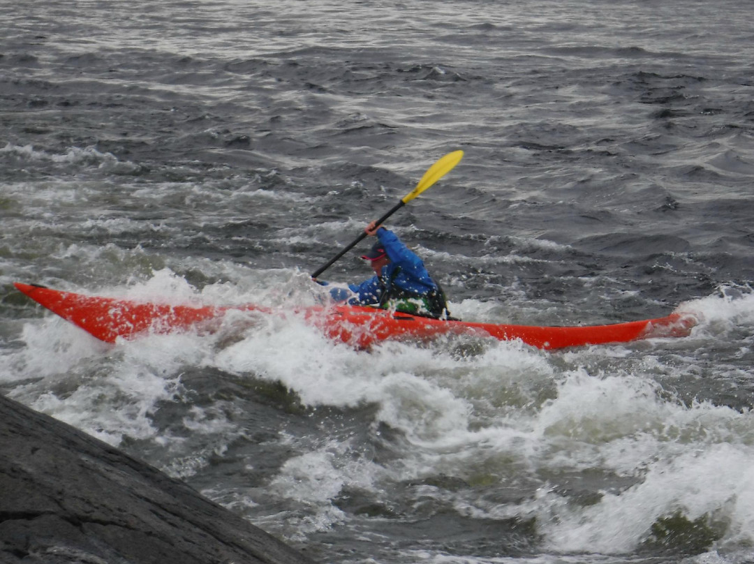 Sea Kayak Arisaig景点图片