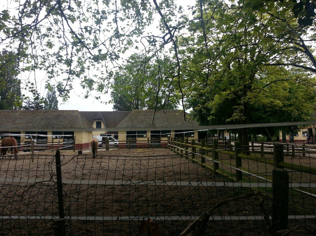 Equestrian Center Touquet Paris-Plage景点图片