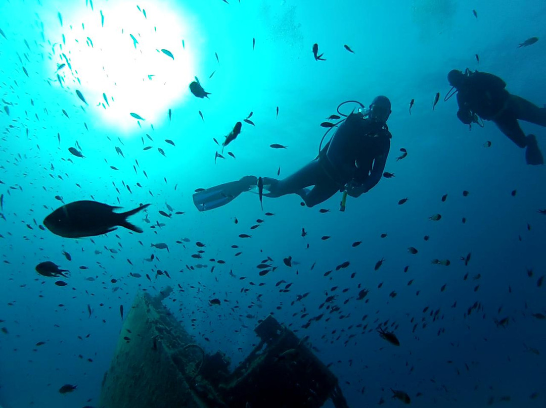 East Coast Divers Mallorca-Portocolom必去景点