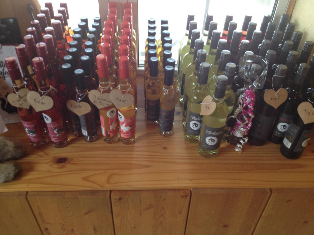 Cattail Creek Winery-滨湖尼亚加拉必去景点