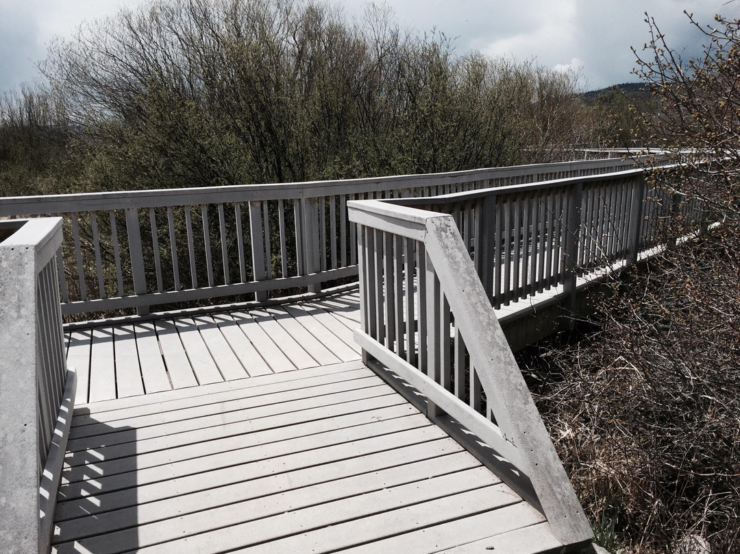 Rotary Park Boardwalk-斯廷博特斯普林斯必去景点
