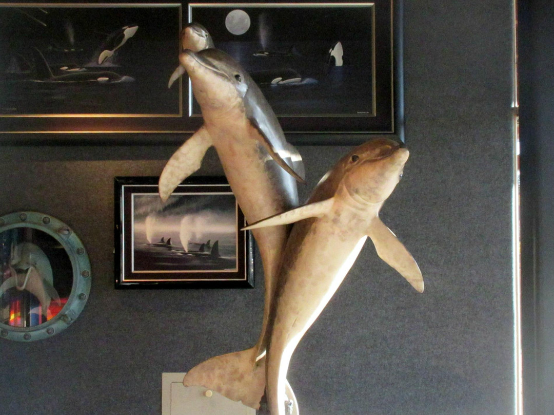 Wyland Galleries-南太浩湖必去景点