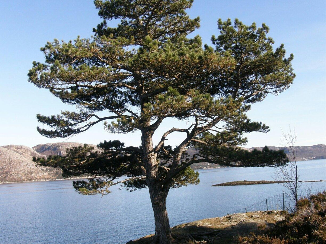 Vaulen Beach景点图片