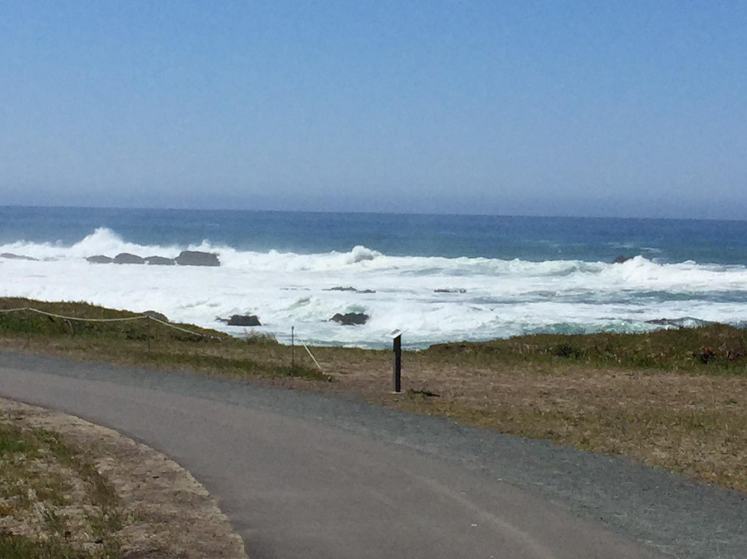 Fort Bragg Coastal Trail景点图片