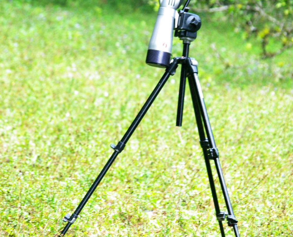 Johnny Loves Nature Eco Tours-蒙特沃德必去景点