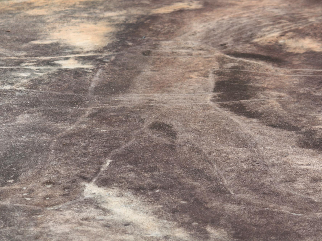 Bulgandry Aboriginal Engraving Site-Kariong必去景点