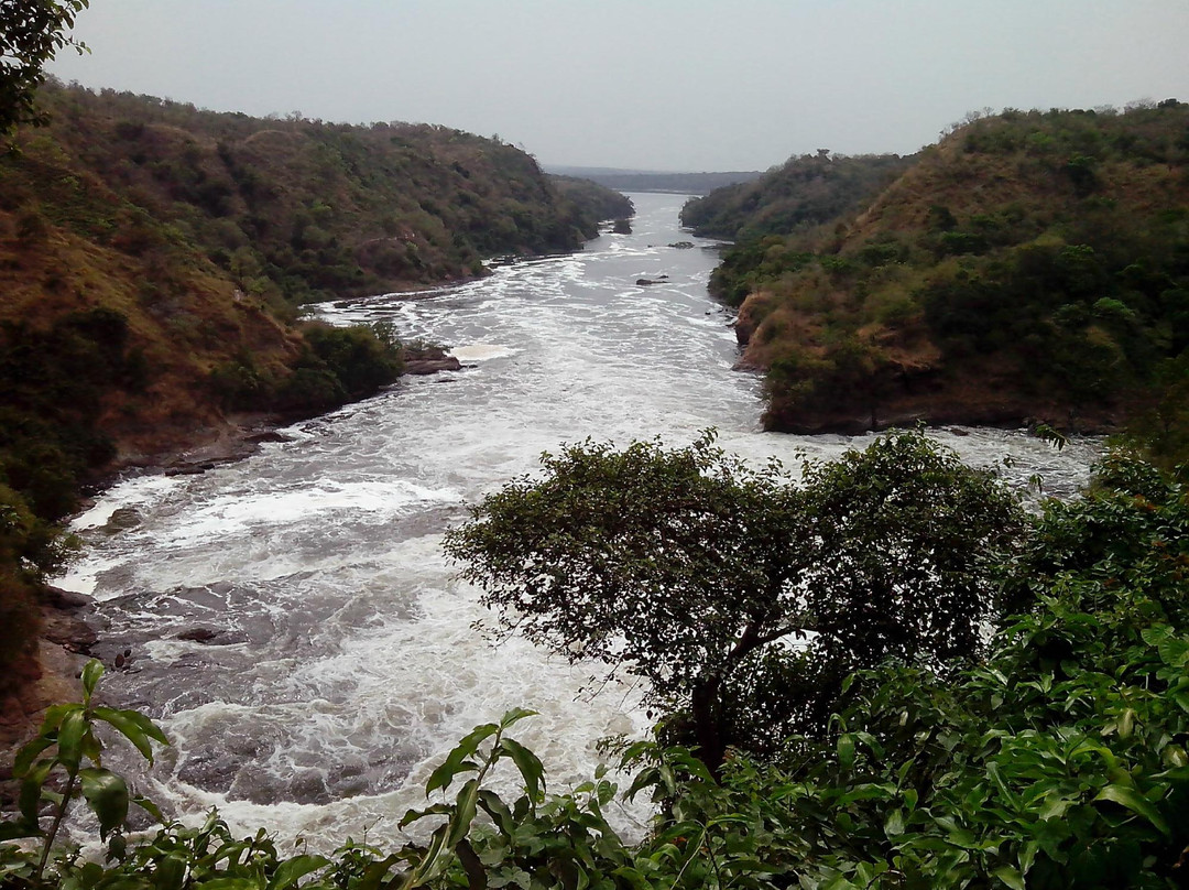 Upper Nile Safaris-坎帕拉必去景点