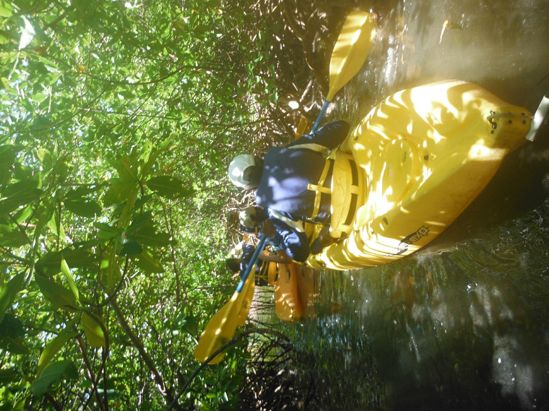 Island Kayaking Adventure-Ceiba必去景点