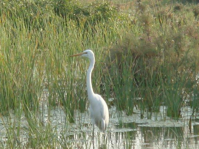 Lake Mirpurkhas-Mirpur Khas必去景点
