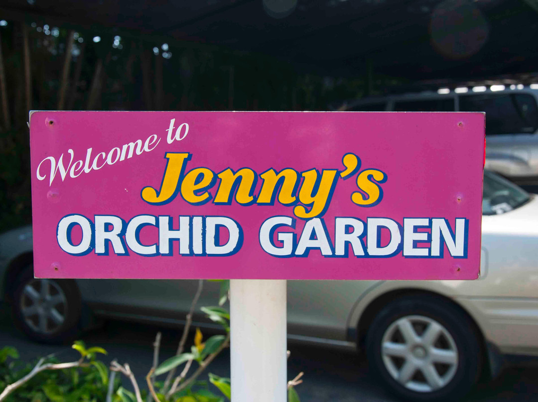 Jenny's Orchid Garden-Howard Springs必去景点