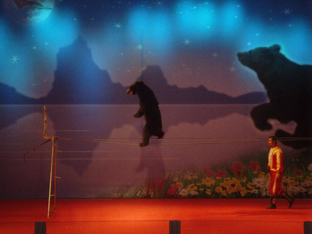 黑宝熊乐园-牡丹江市必去景点