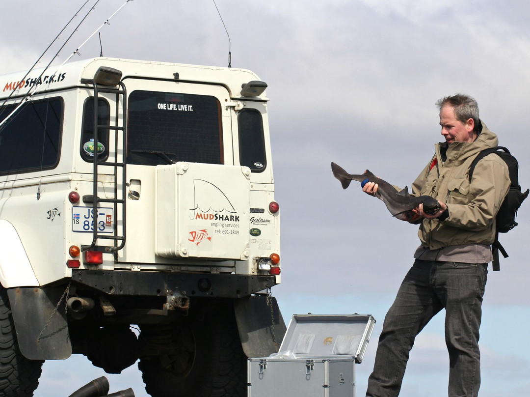 MudShark Tours-海拉必去景点