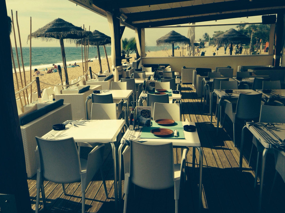 Tiare Beach Bar-Pineda de Mar必去景点