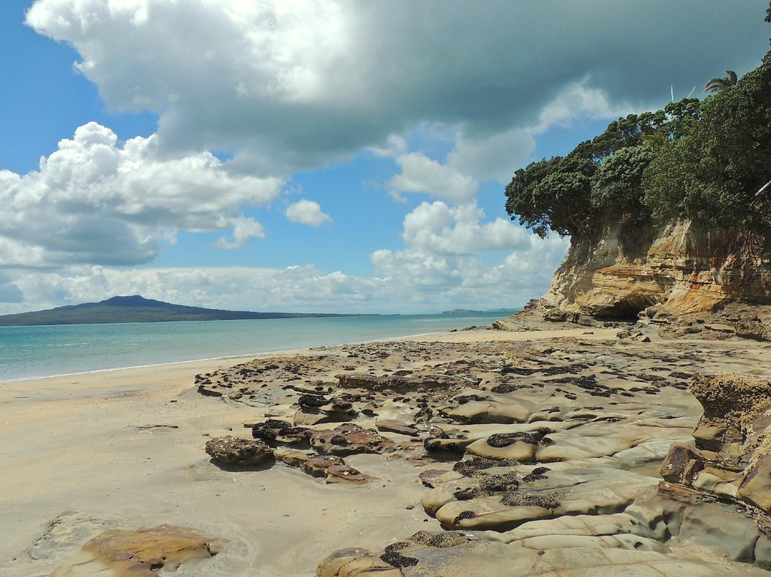塔卡普纳海滩-奥克兰中心地区必去景点