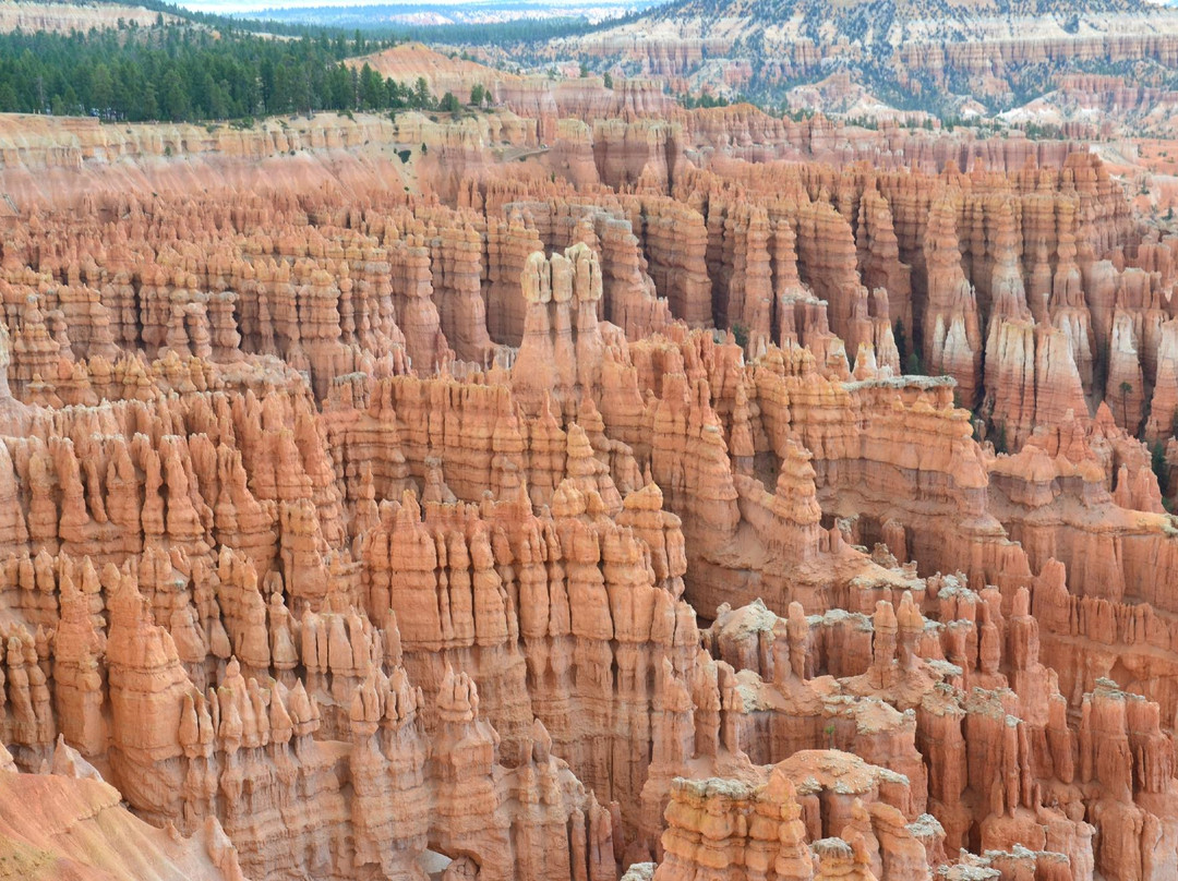Zion National Park Rides-特罗皮克必去景点
