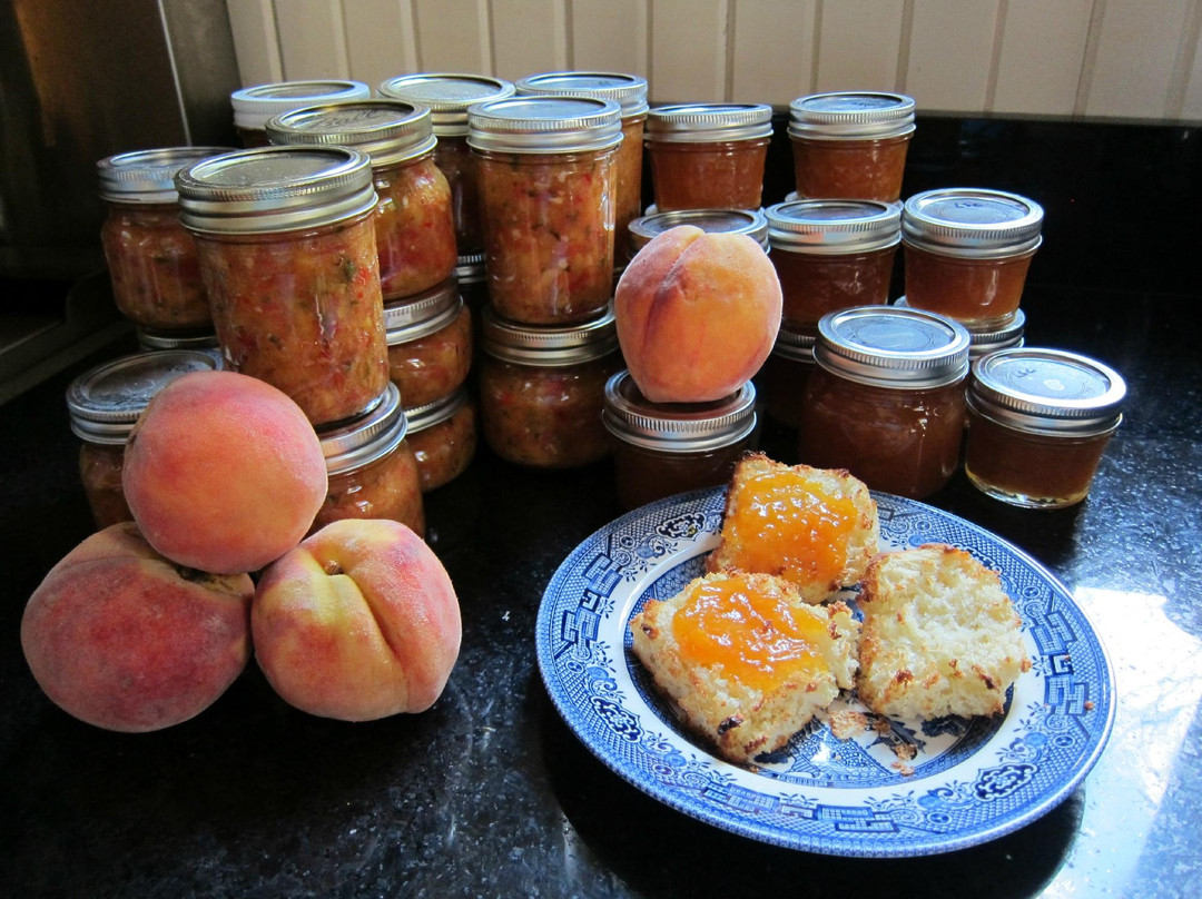 Pine Grove Cottages主图