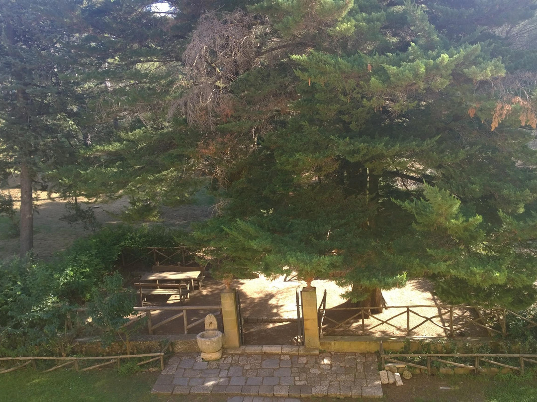Real Casina di Caccia景点图片