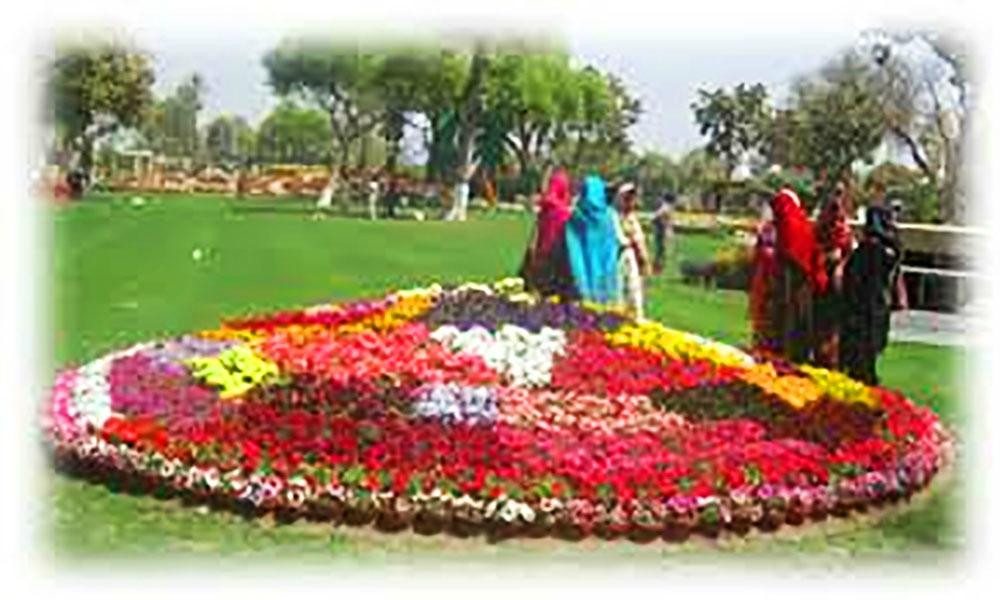 Cantonment Garden-Multan必去景点