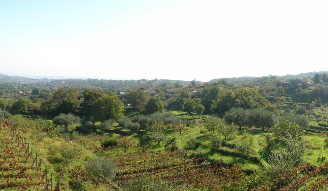 Azienda Natura主图