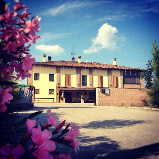 San Pietro in Casale旅游攻略图片