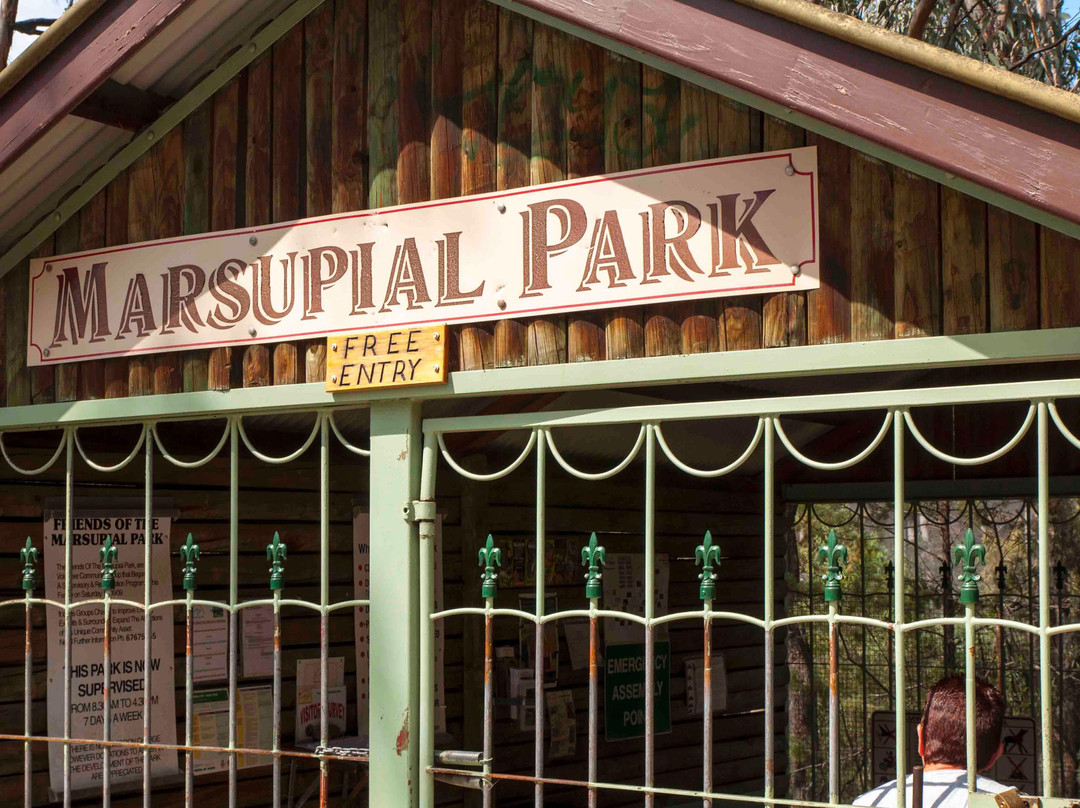 Tamworth Marsupial Park景点图片