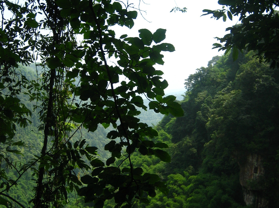 贵州燕子岩景点图片