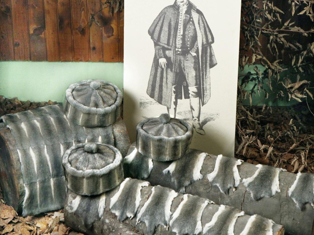 Hunting Collection and Dormouse Museum景点图片