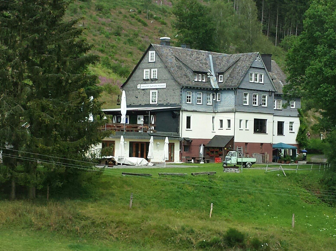 Bad Berleburg旅游攻略图片