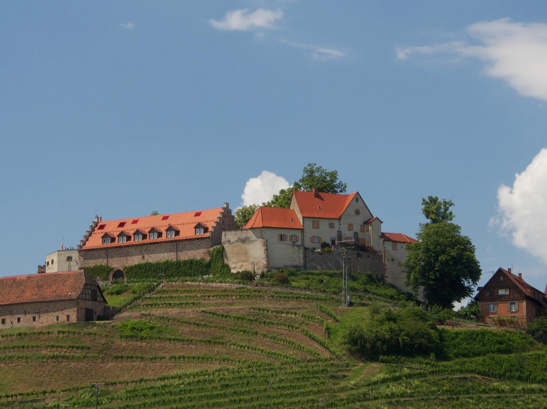 Weingut Schloss Staufenberg景点图片