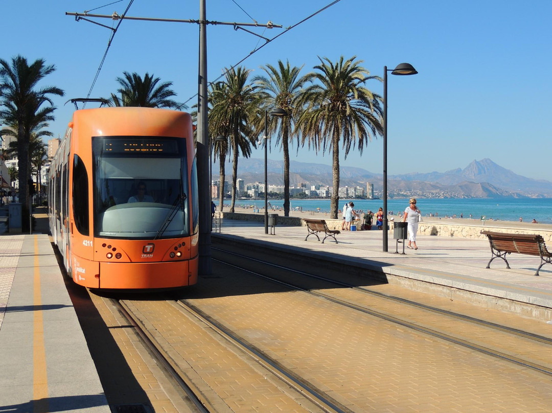 Alicante Tram景点图片
