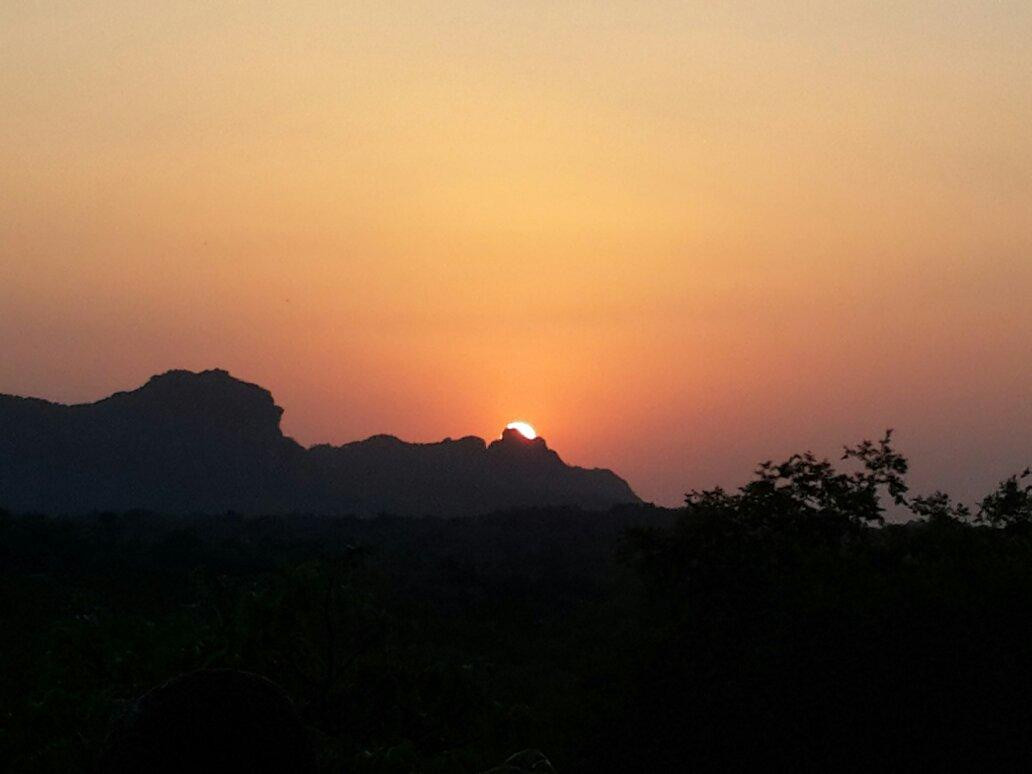 Patalkot Valley景点图片