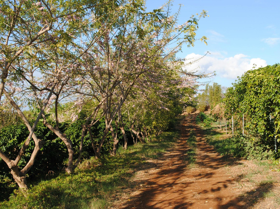 Kupa'a Farms-库拉必去景点