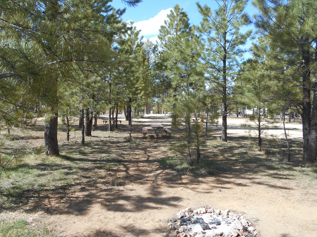 Ruby's Inn Canyon Rock Shop-布莱斯峡谷国家公园必去景点