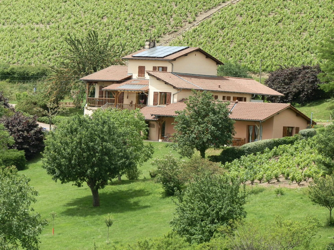 Le Raisin Bleu主图