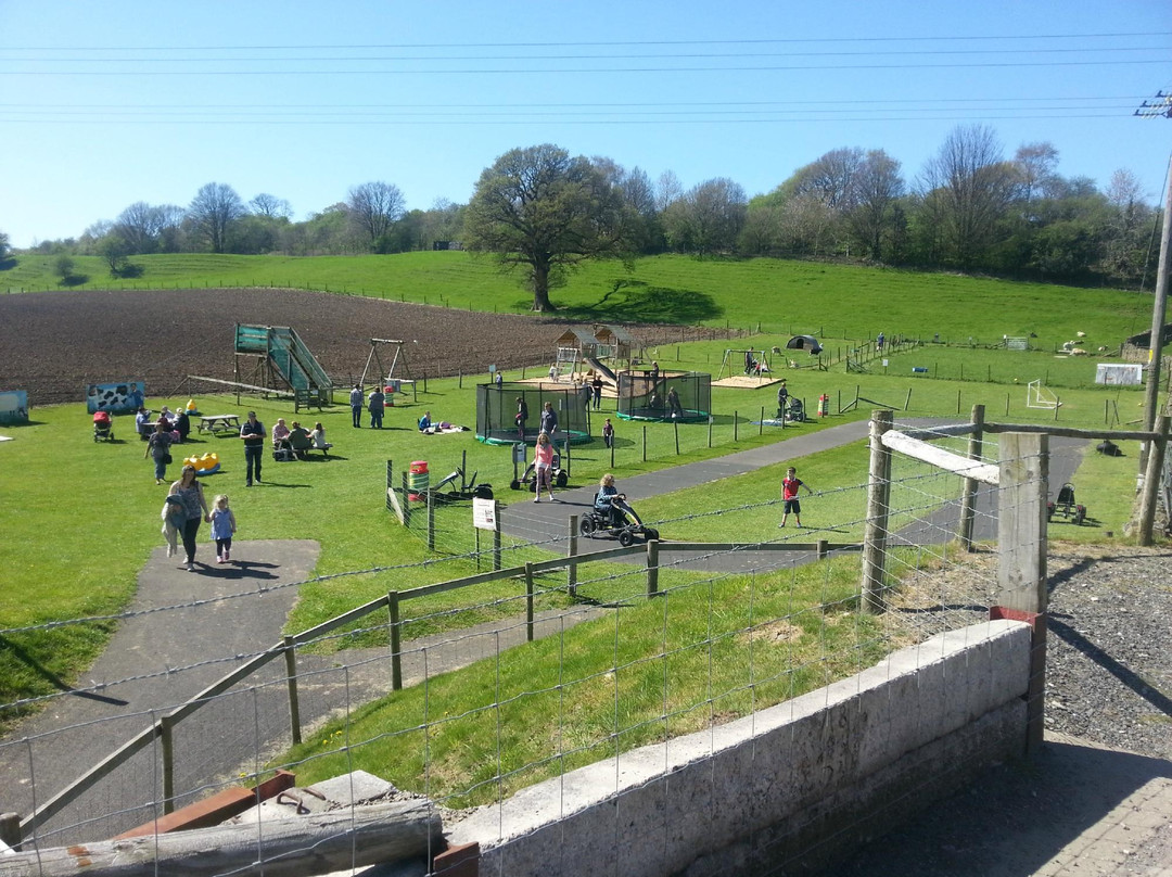 Lakeland Maze Farm Park景点图片