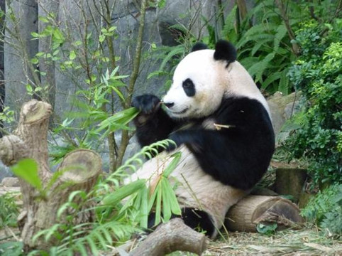 河川生态园-新加坡必去景点