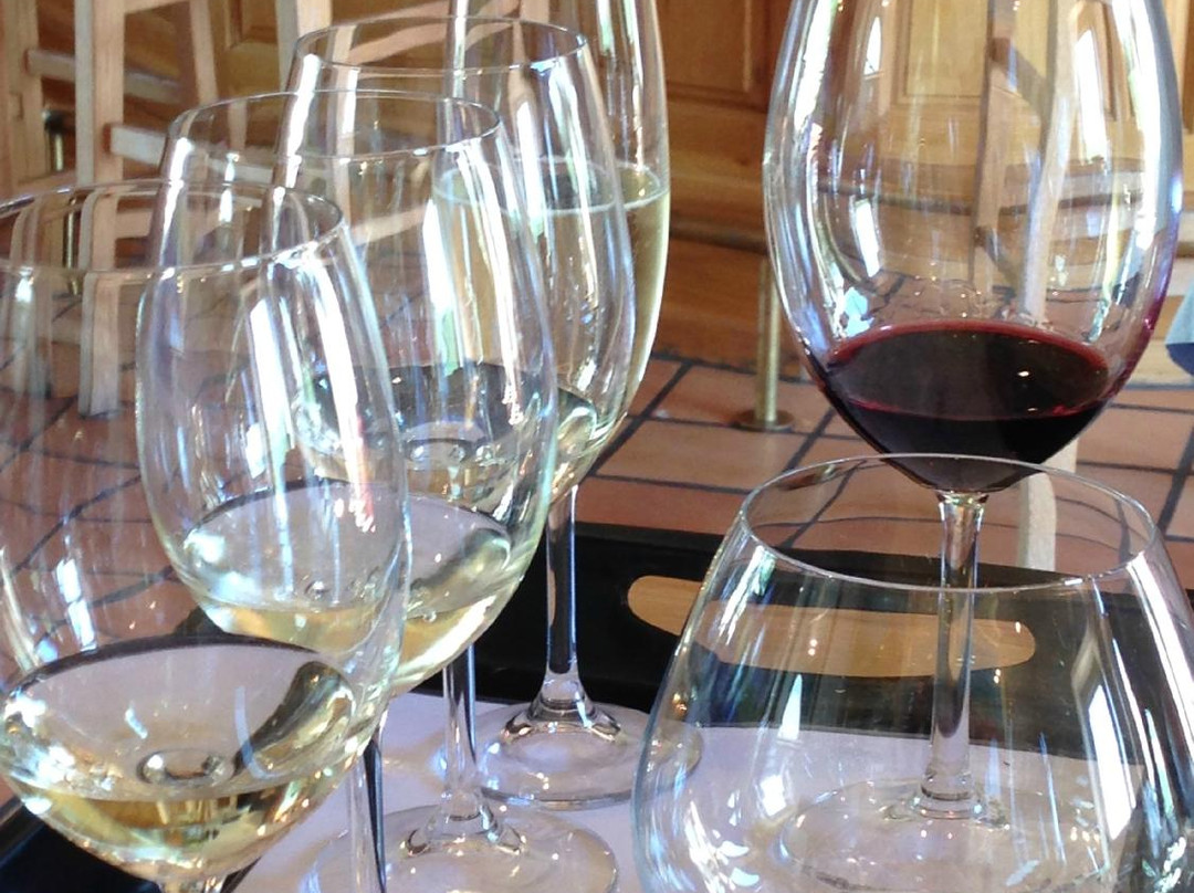 Cape with Pim-Bloubergstrand必去景点