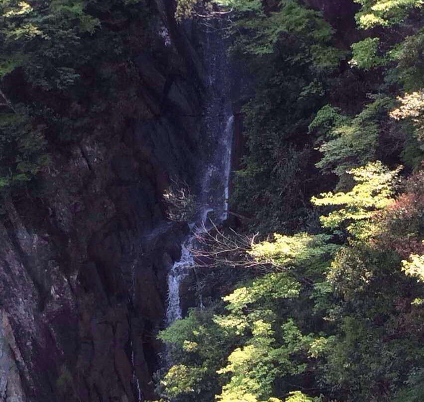 三百山-安远县必去景点