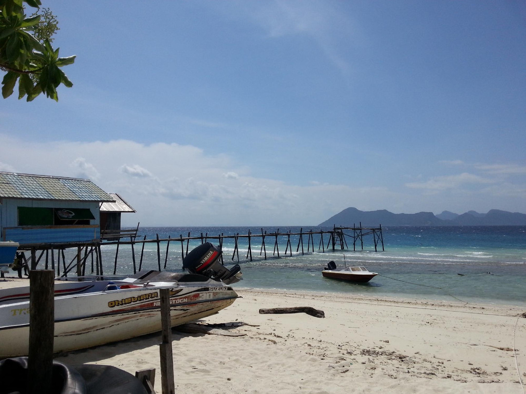 热带研究与保护中心-仙本那必去景点